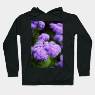 Purple Mimosa Flower Hoodie